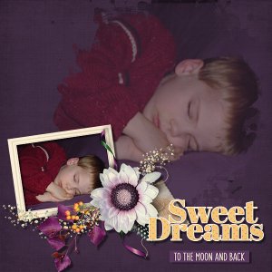 Sweet Dreams To The Moon And Back