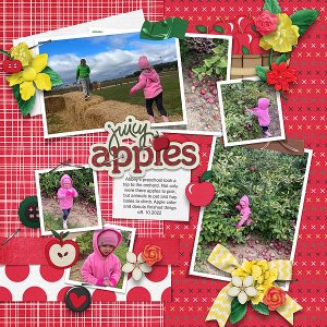 Apple Picking