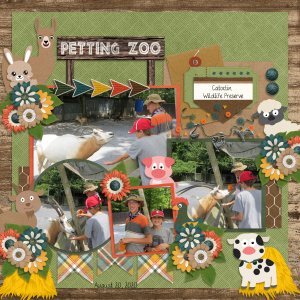 Petting Zoo