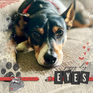 Puppy Dog Eyes