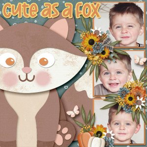 Cute as a Fox
