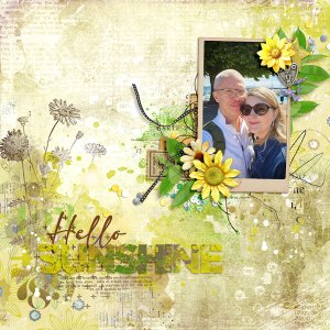 Hello Sunshine