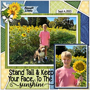 Bennett and the sunflowers