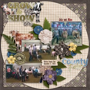 County Fair