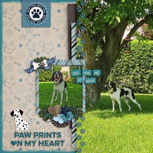 paw prints in my heart