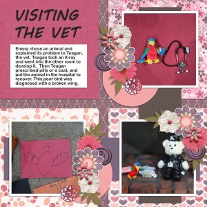 Visiting the vet