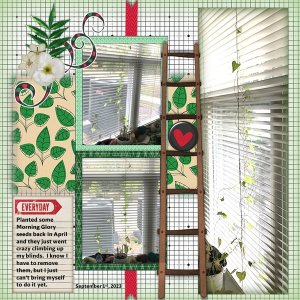 September 2023 Inspiration Challenge