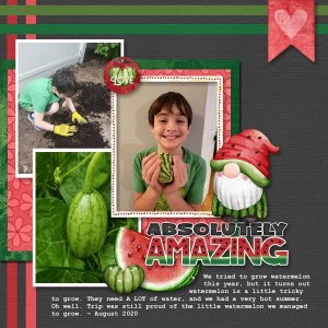 Absolutely Amazing Watermelon 2020