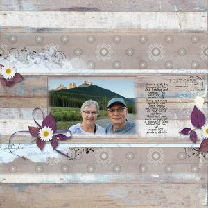 Empty Nesters