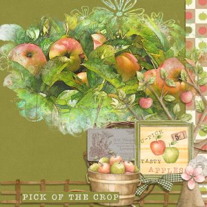 Fresh Apples
