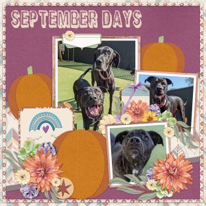 September Days