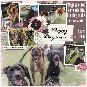 Doggy Daycare