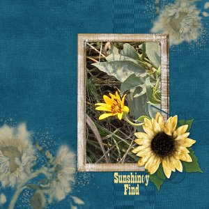 Sunshiney Find