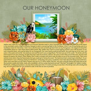 My Story -- Honeymoon