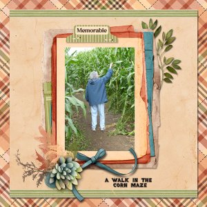 Corn Maze