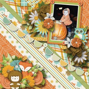 Pumpkin Patch