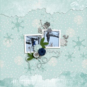 Snowy4