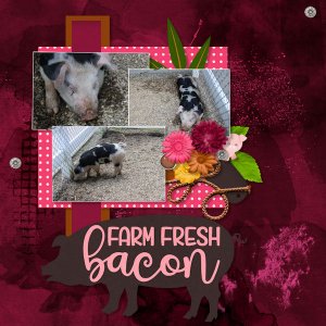 Mmm Bacon