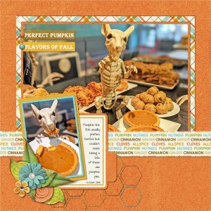 Pumpkin the Rat