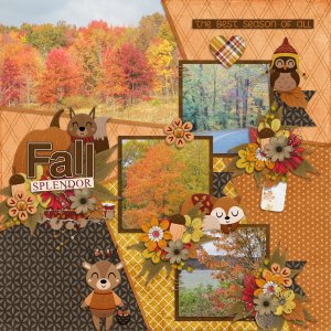 Fall Splendor