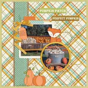 Pumpkin Patch