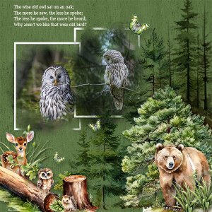 Forest Friends