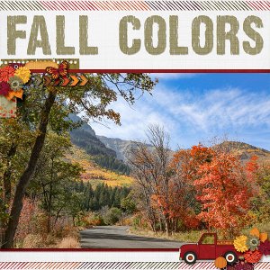 Fall Colors