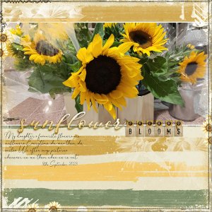 Sunflowers