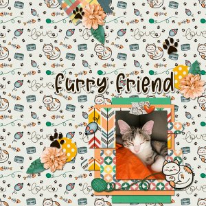 Furry Friend