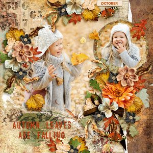 autumn leaves are falling