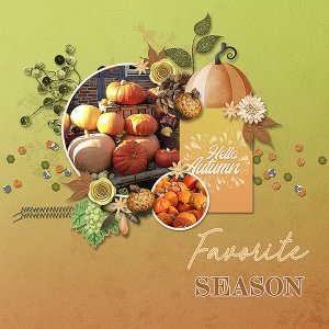 Favorite Season