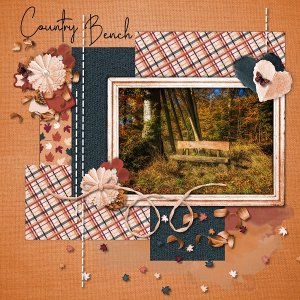 Country Bench