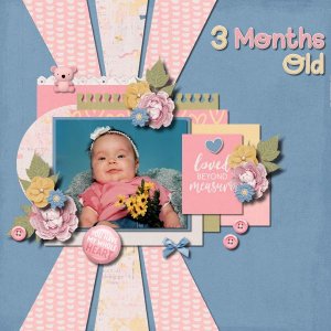 3 Months