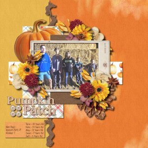 Pumpkin Patch 22