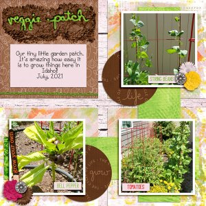 Veggie Patch