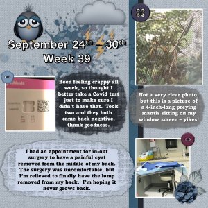 Project 365 Challenge - Week 39