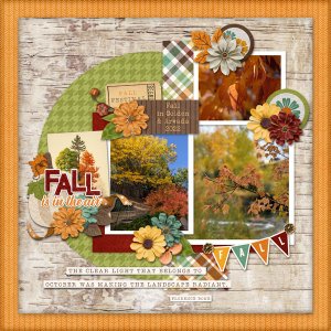 Fall leaves 2022