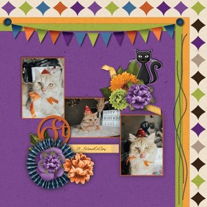 Cat Day