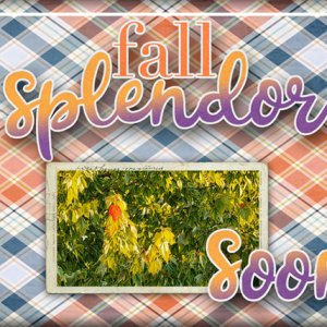 fall splendor