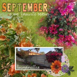 Oct23 Memory Mixup