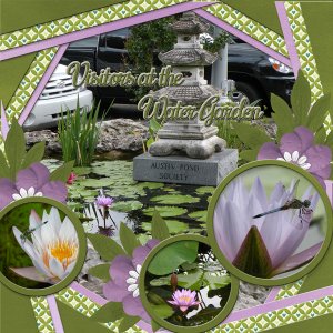 Visitors at the Water Garden