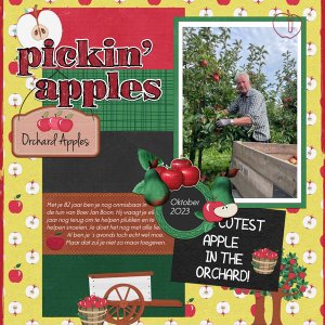 Picking Apples