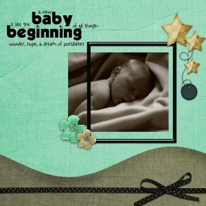 a_new_baby