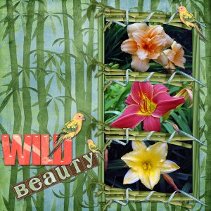 Wild Beauty