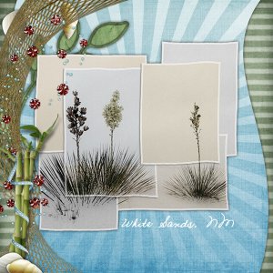 White Sands Survivor Wk1