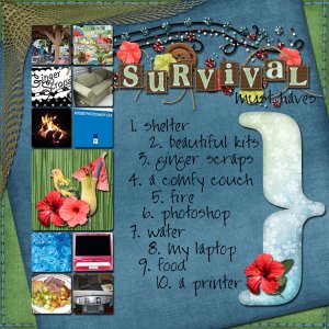 Survivor Must haves