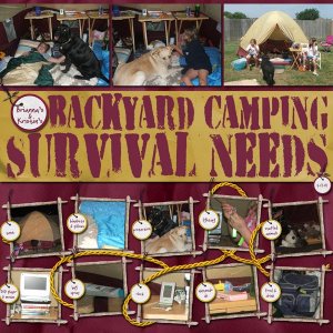 brianna's and kristin's backyard camping survival needs