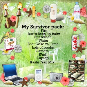 My Survivor Camp