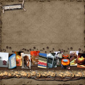 Survivor Essentials
