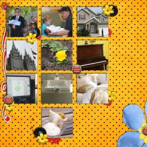 10 +quot;Must Have's+quot;